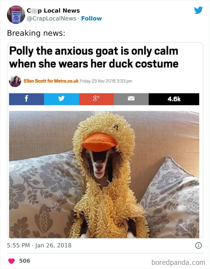 50 Fun Headlines From Local News That Are Unhinged And Bizarre