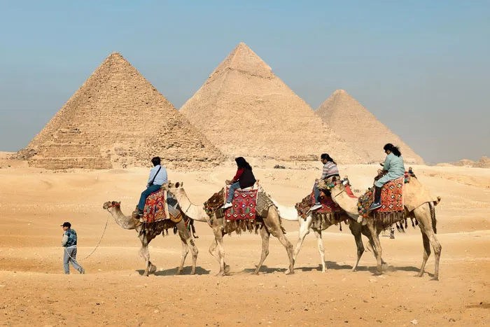 Ride A Camel At The Great Pyramid Of Giza