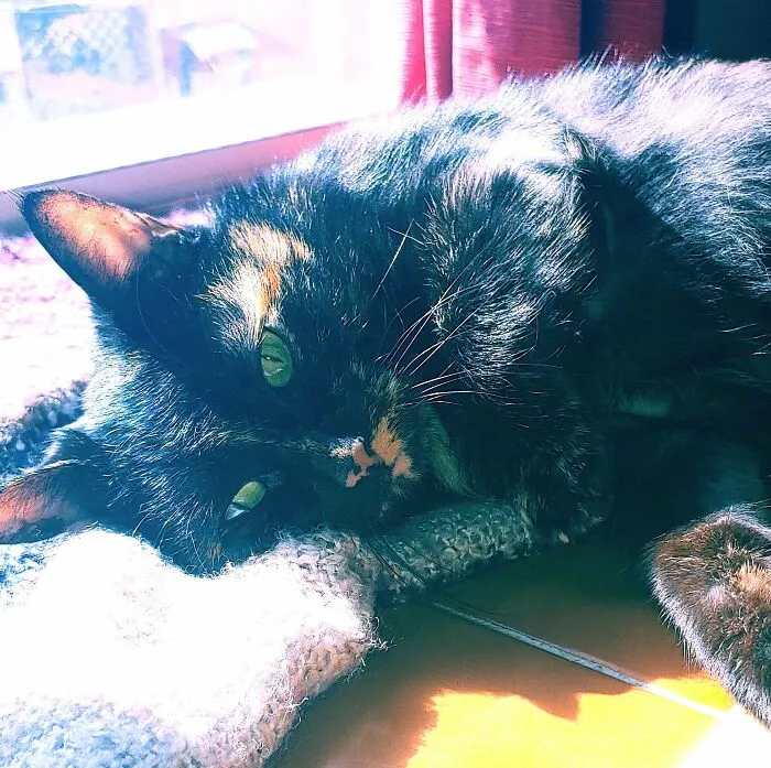 Cinder
