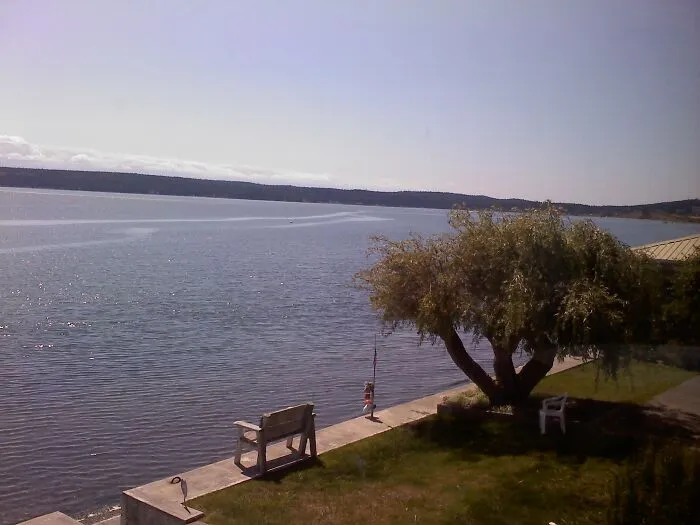 Grandma's House. The View