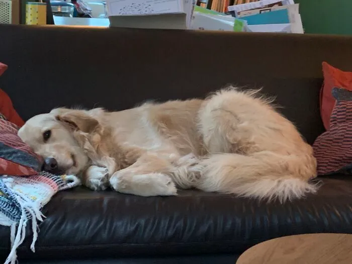 Nap Time