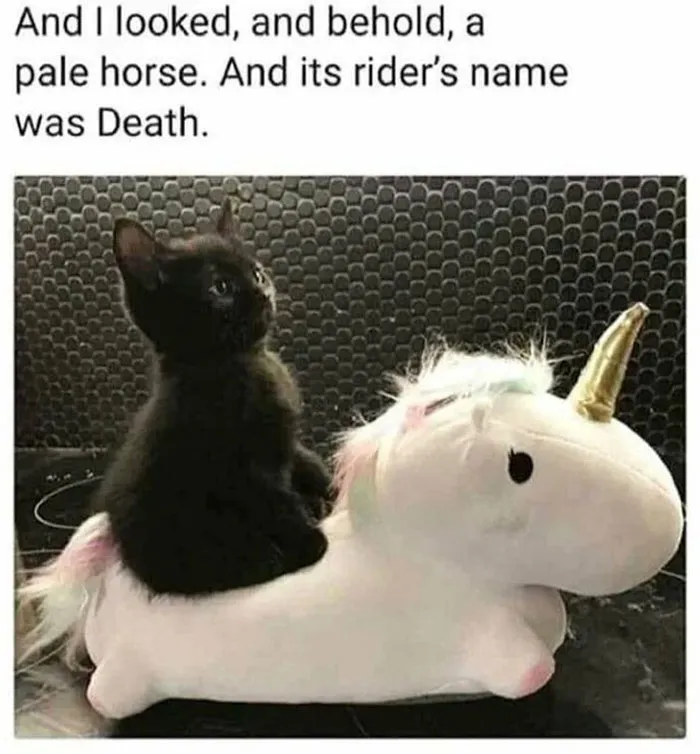This Twitter Account Has Amassed 2.9M Followers For Sharing Wholesome Memes, Here Are 48 Of Their Best Posts (New Pics)