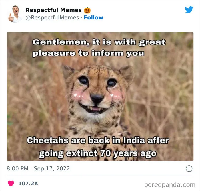 50 Memes That Are So Wholesome, You Can Even Show Them To Your Grandma (New Pics)