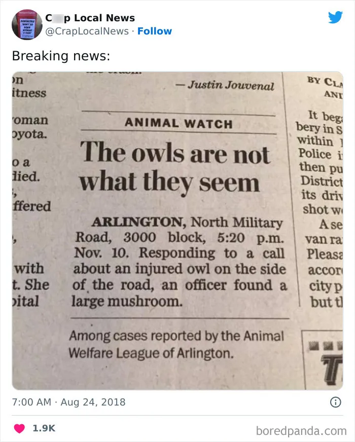 50 Fun Headlines From Local News That Are Unhinged And Bizarre