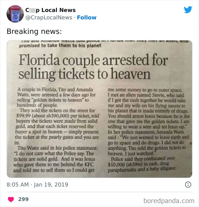 50 Fun Headlines From Local News That Are Unhinged And Bizarre