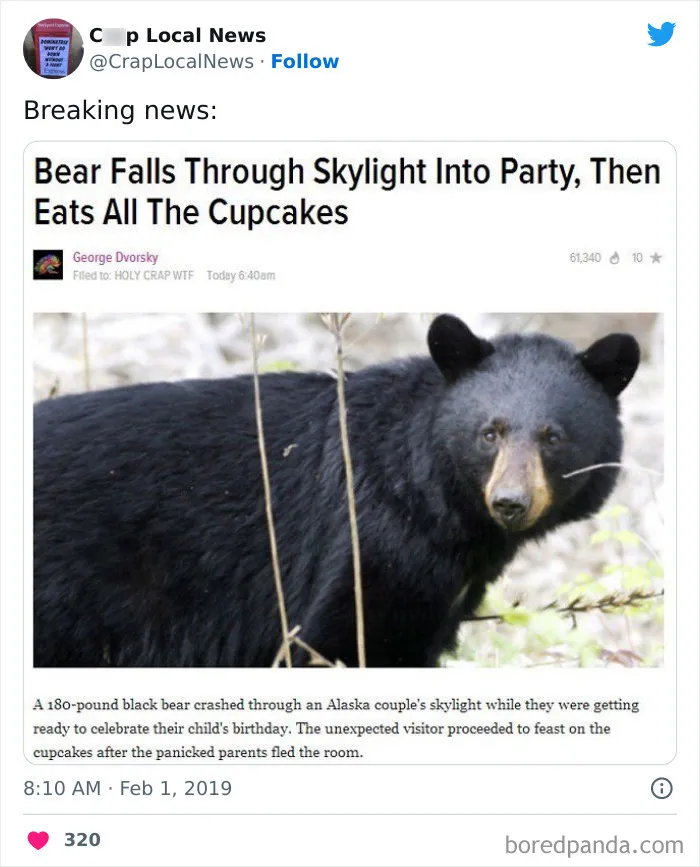 50 Fun Headlines From Local News That Are Unhinged And Bizarre