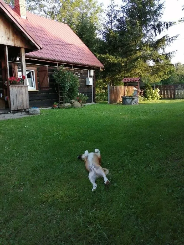 My Cottage