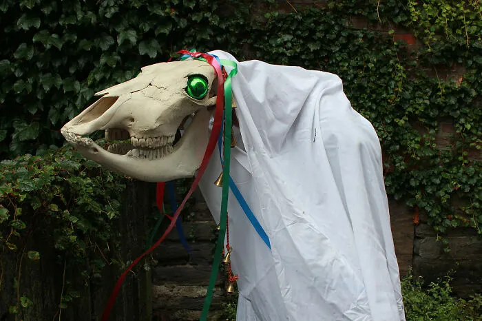 The Mari Lwyd, Wales