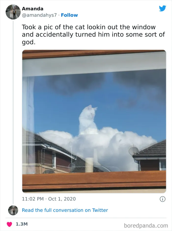 This Twitter Account Has Amassed 2.9M Followers For Sharing Wholesome Memes, Here Are 48 Of Their Best Posts (New Pics)