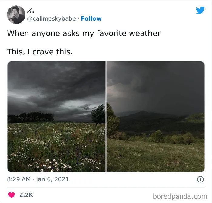50 Memes That Might Hit A Little Too Close To Home, As Shared By "Freud Intensifies" Instagram