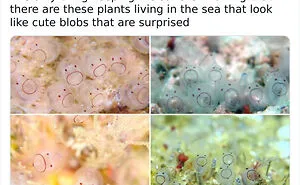 “Making Science Bad!”: 40 New Nerdy Posts Shared On This Page With 594k Followers