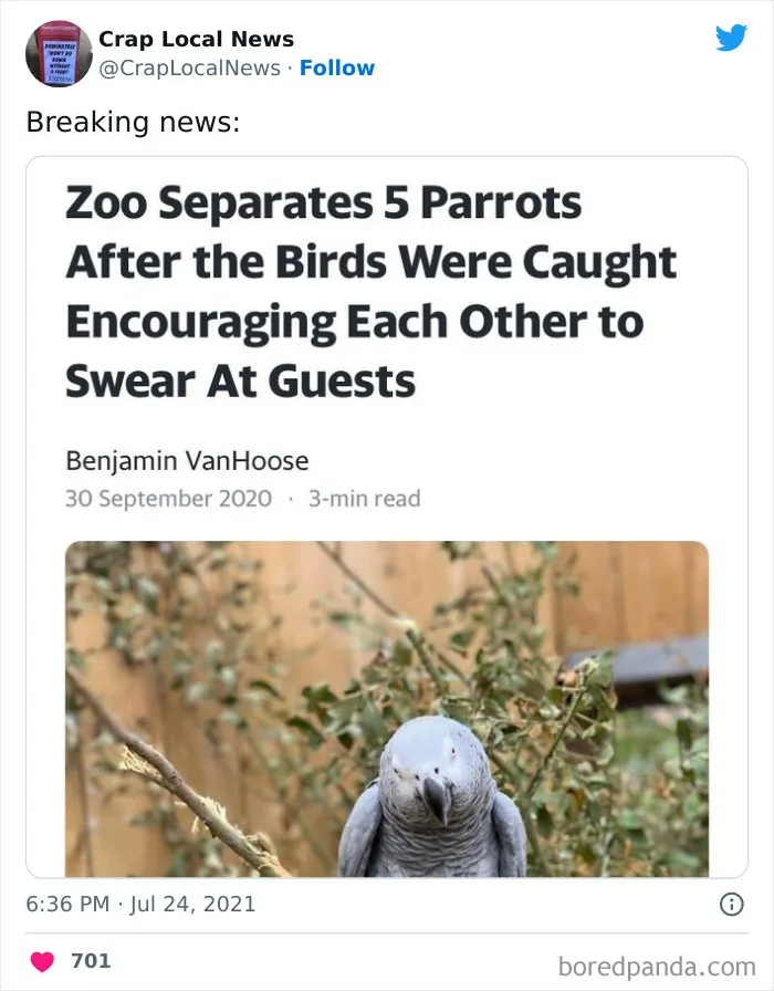 50 Fun Headlines From Local News That Are Unhinged And Bizarre
