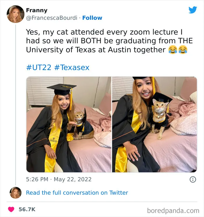 35 Zoom Memes Shared On This Online Group With Almost A Million Members (New Posts)