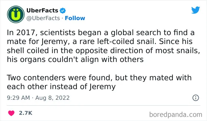 F's In The Chat For Poor Jeremy