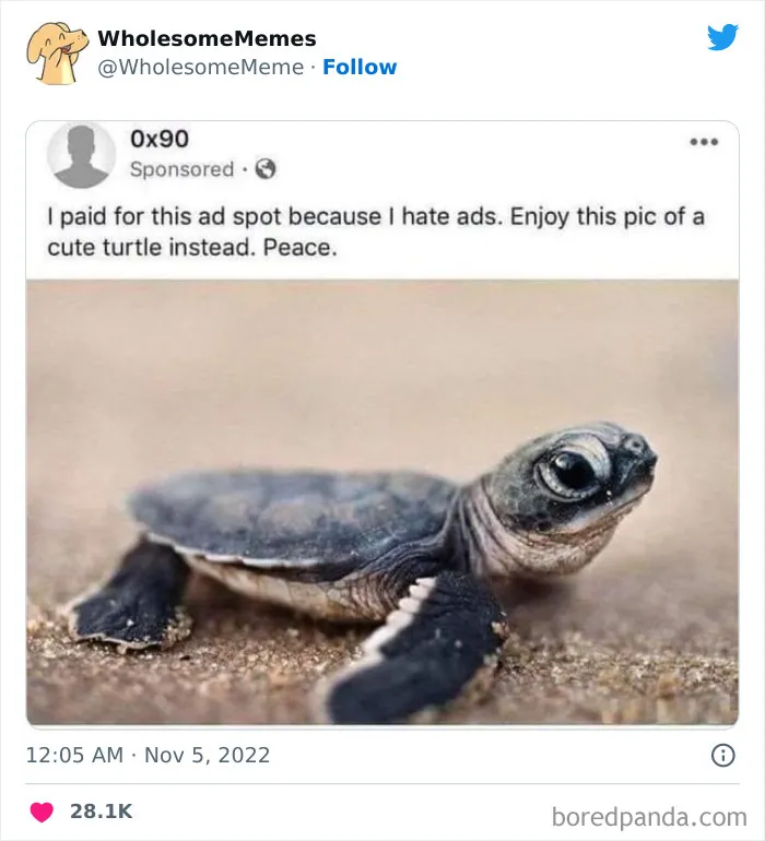 50 Wholesome Memes As Shared By This Page To Brighten Up Your Day (New Pics)