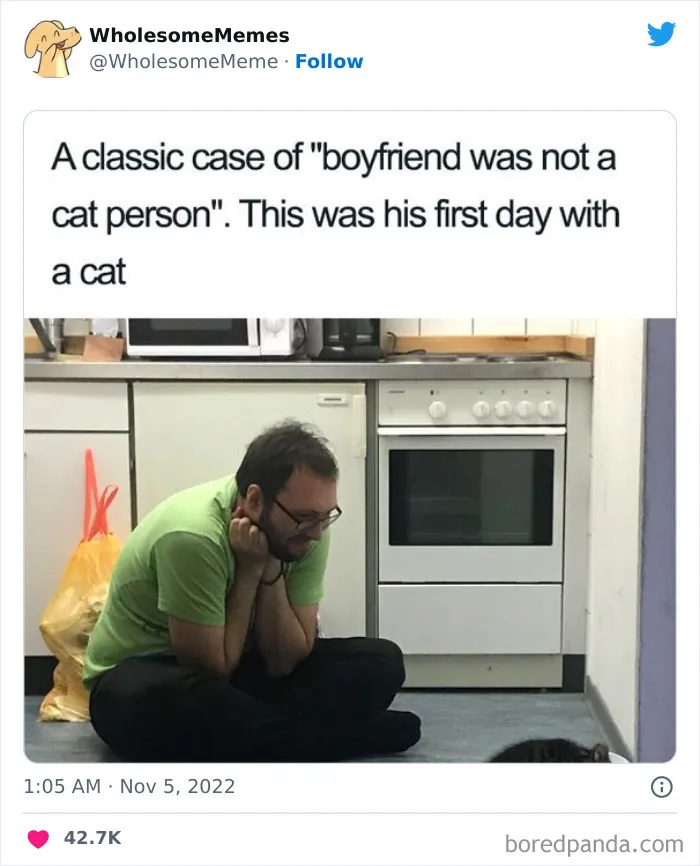 50 Wholesome Memes As Shared By This Page To Brighten Up Your Day (New Pics)