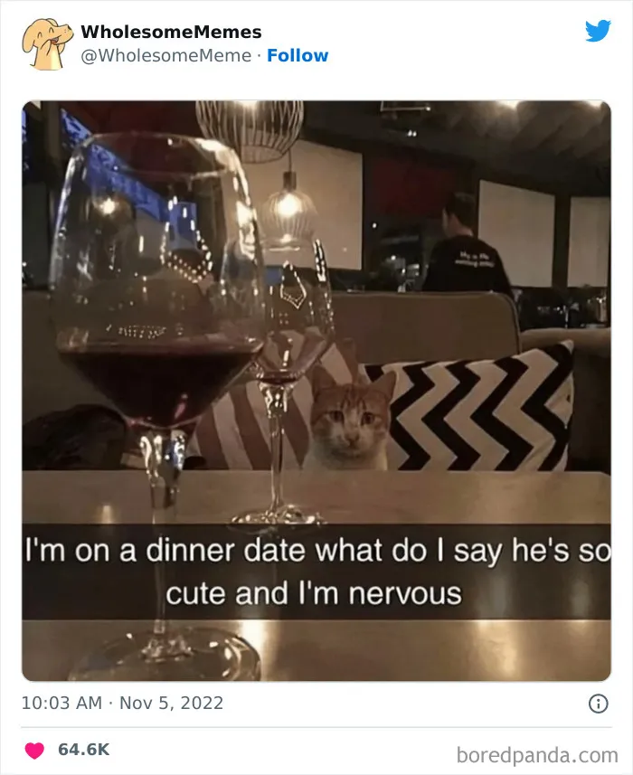 50 Wholesome Memes As Shared By This Page To Brighten Up Your Day (New Pics)