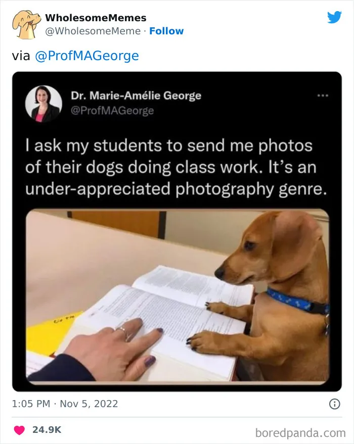 50 Wholesome Memes As Shared By This Page To Brighten Up Your Day (New Pics)
