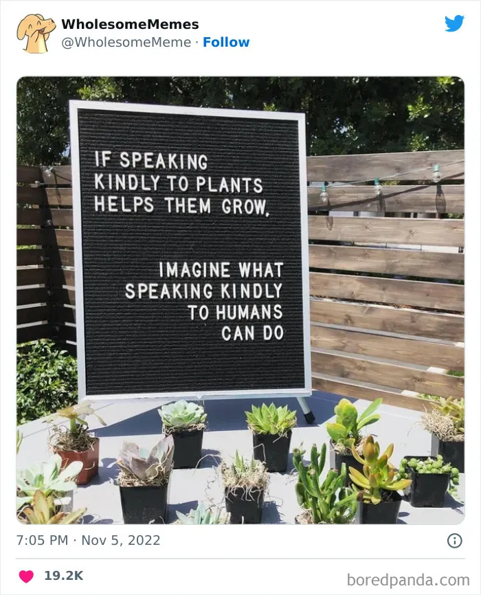 50 Wholesome Memes As Shared By This Page To Brighten Up Your Day (New Pics)