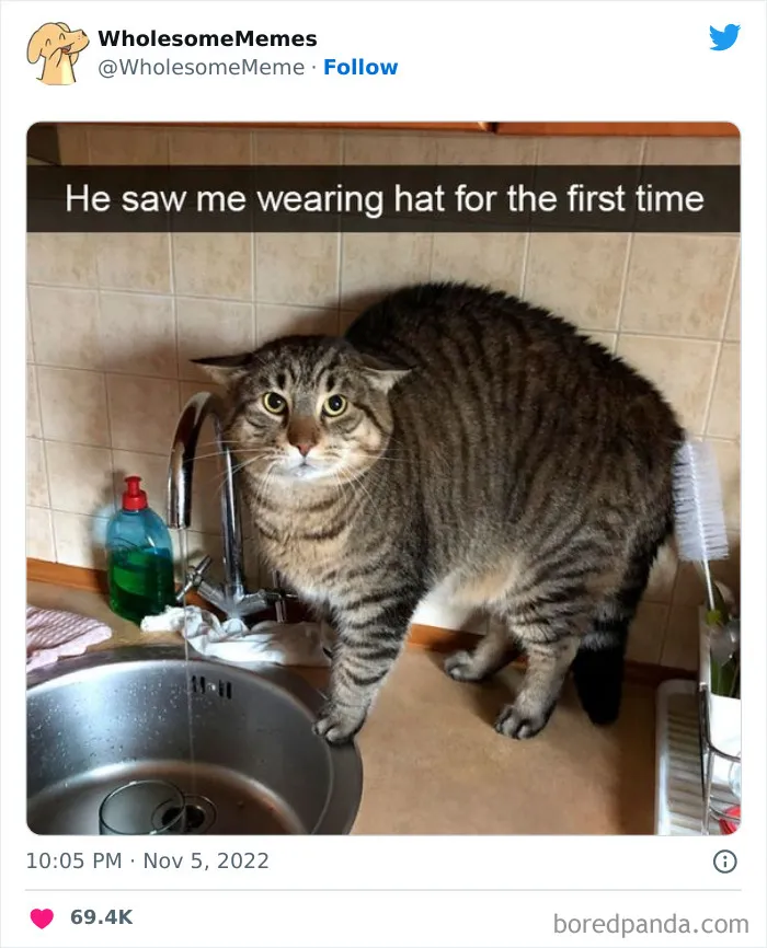 50 Wholesome Memes As Shared By This Page To Brighten Up Your Day (New Pics)