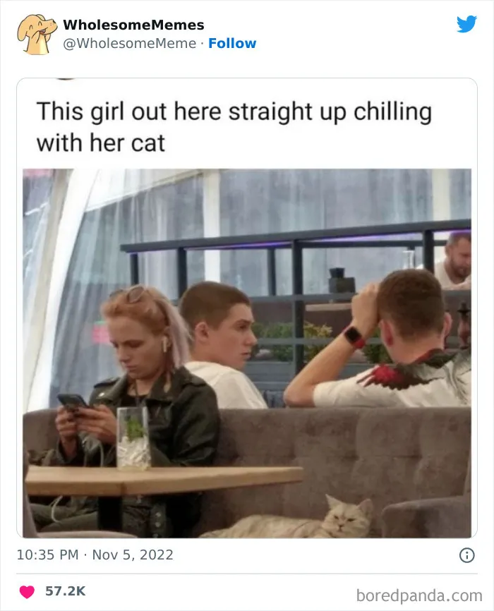 50 Wholesome Memes As Shared By This Page To Brighten Up Your Day (New Pics)