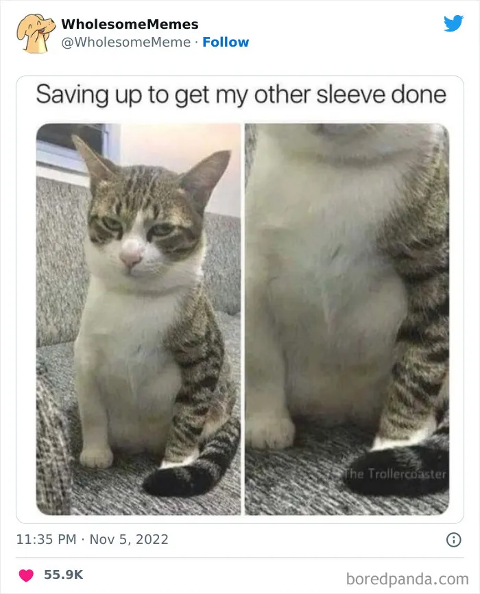 50 Wholesome Memes As Shared By This Page To Brighten Up Your Day (New Pics)