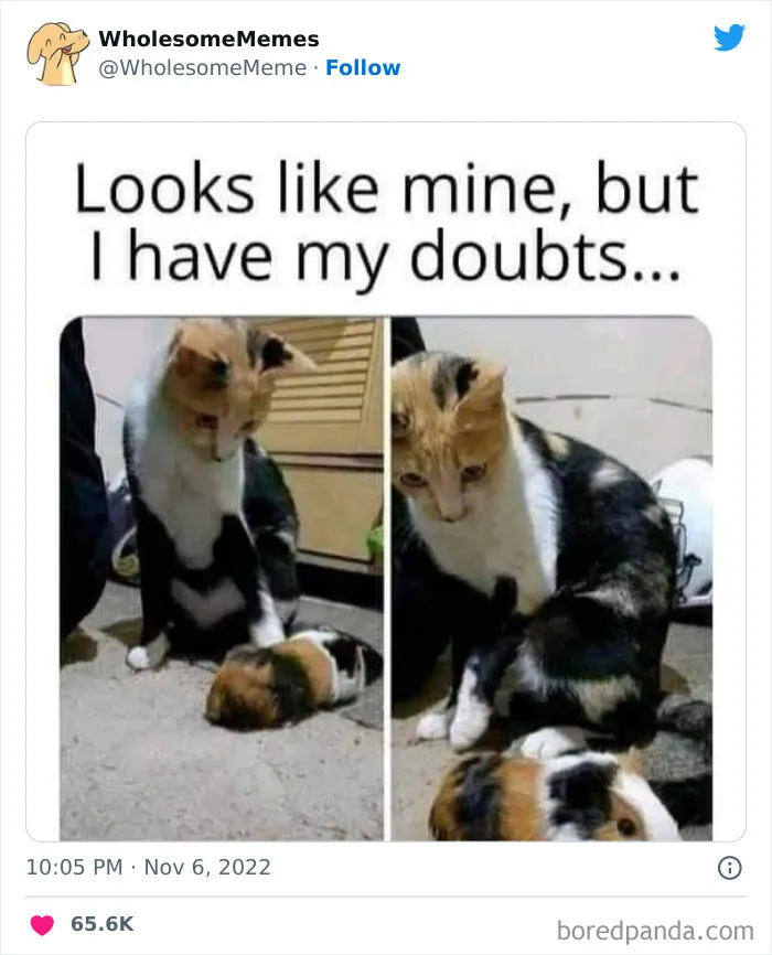 50 Wholesome Memes As Shared By This Page To Brighten Up Your Day (New Pics)