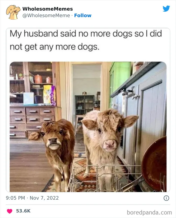 50 Wholesome Memes As Shared By This Page To Brighten Up Your Day (New Pics)