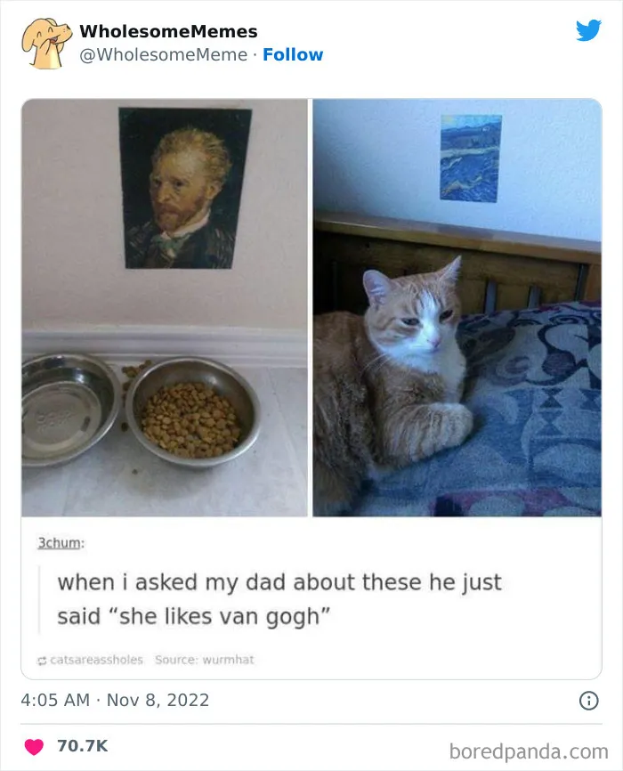 50 Wholesome Memes As Shared By This Page To Brighten Up Your Day (New Pics)