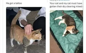 50 Wholesome Memes As Shared By This Page To Brighten Up Your Day (New Pics)