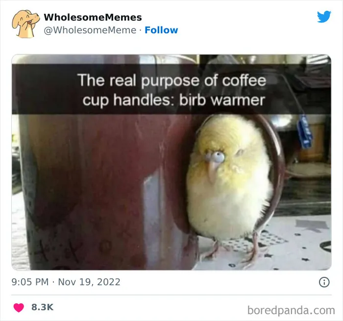 50 Wholesome Memes As Shared By This Page To Brighten Up Your Day (New Pics)