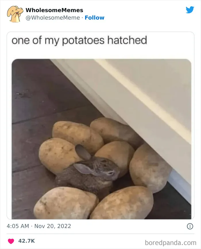 50 Wholesome Memes As Shared By This Page To Brighten Up Your Day (New Pics)