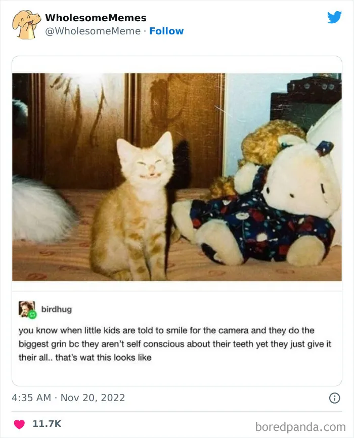 50 Wholesome Memes As Shared By This Page To Brighten Up Your Day (New Pics)
