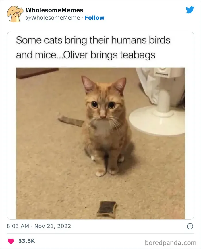 50 Wholesome Memes As Shared By This Page To Brighten Up Your Day (New Pics)