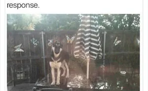 50 Wholesome Memes As Shared By This Page To Brighten Up Your Day (New Pics)