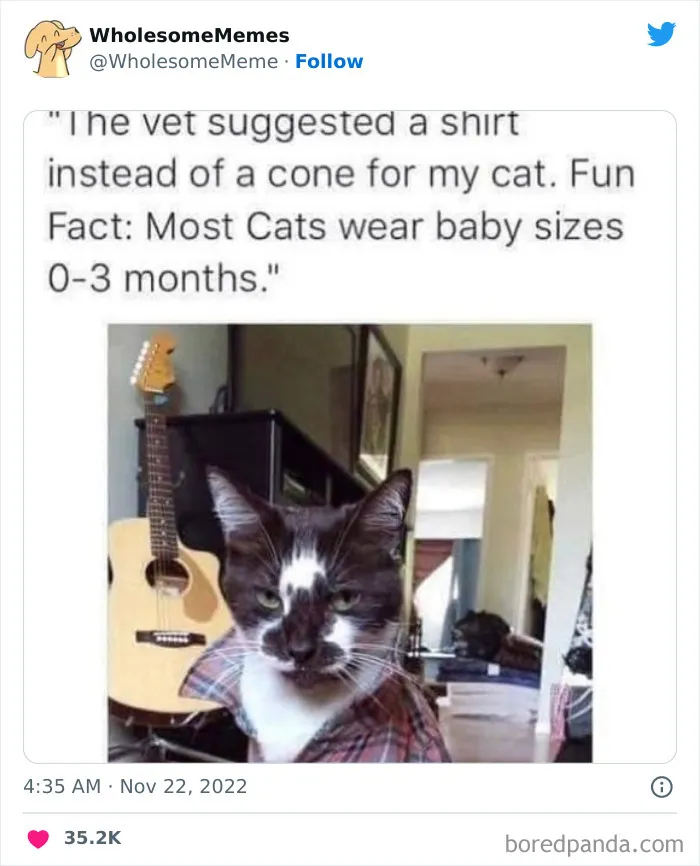 50 Wholesome Memes As Shared By This Page To Brighten Up Your Day (New Pics)
