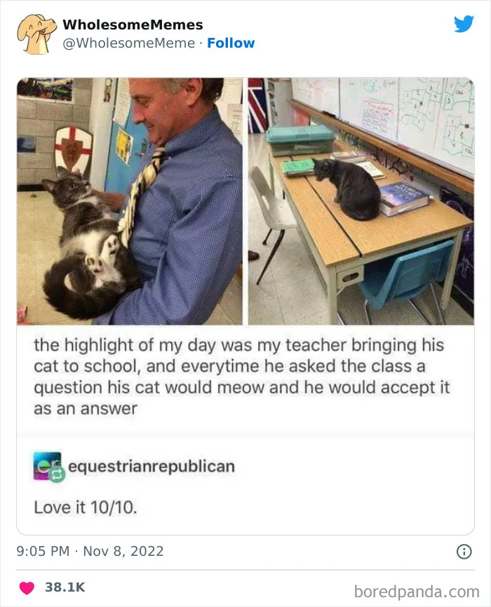50 Wholesome Memes As Shared By This Page To Brighten Up Your Day (New Pics)