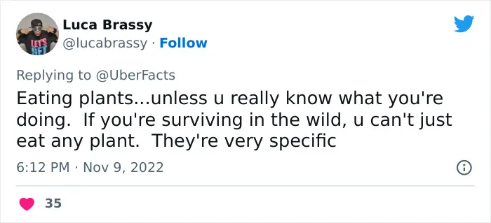 20 Popular Survival Myths That Not Only Are Wrong But Also Dangerous, Shared By People On Twitter