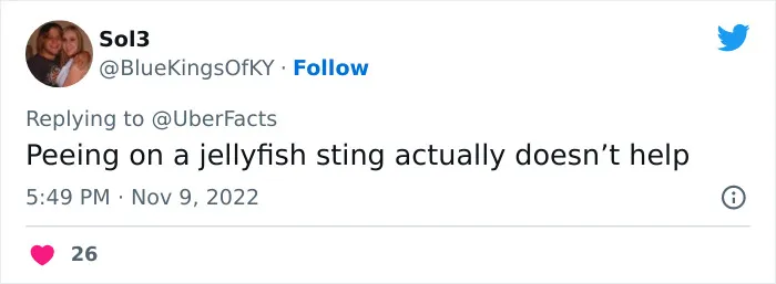 20 Popular Survival Myths That Not Only Are Wrong But Also Dangerous, Shared By People On Twitter