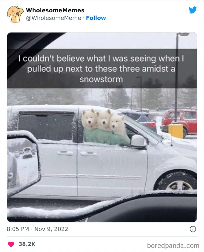 50 Wholesome Memes As Shared By This Page To Brighten Up Your Day (New Pics)