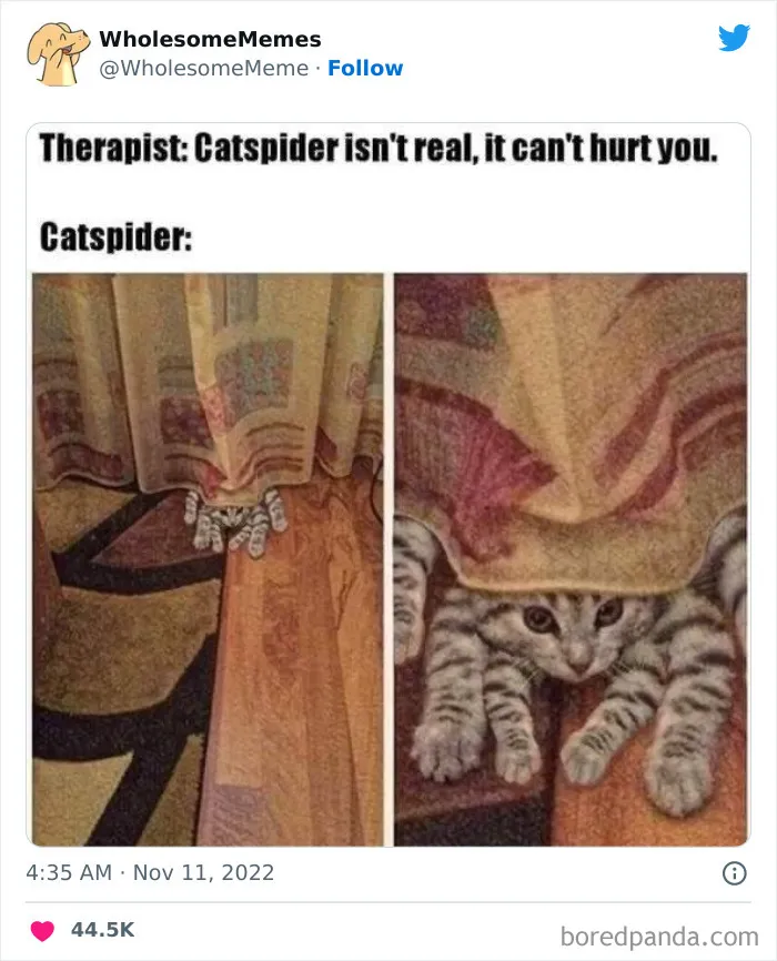 50 Wholesome Memes As Shared By This Page To Brighten Up Your Day (New Pics)