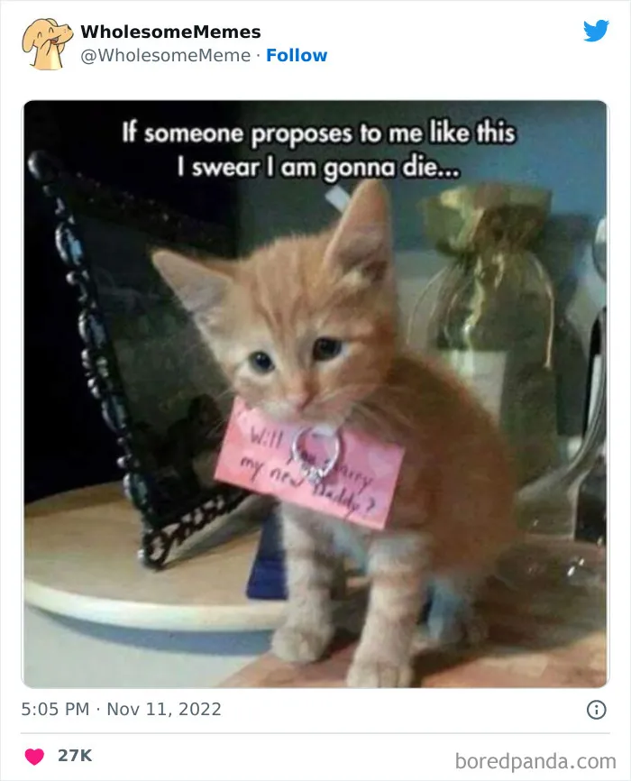50 Wholesome Memes As Shared By This Page To Brighten Up Your Day (New Pics)