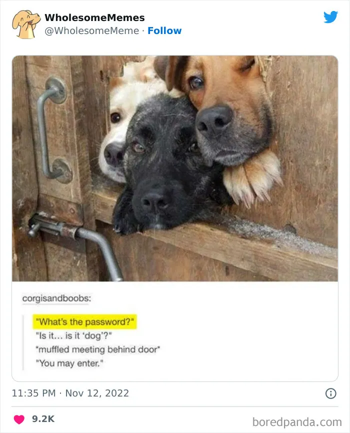 50 Wholesome Memes As Shared By This Page To Brighten Up Your Day (New Pics)
