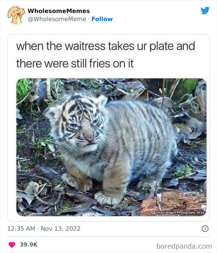 50 Wholesome Memes As Shared By This Page To Brighten Up Your Day (New Pics)