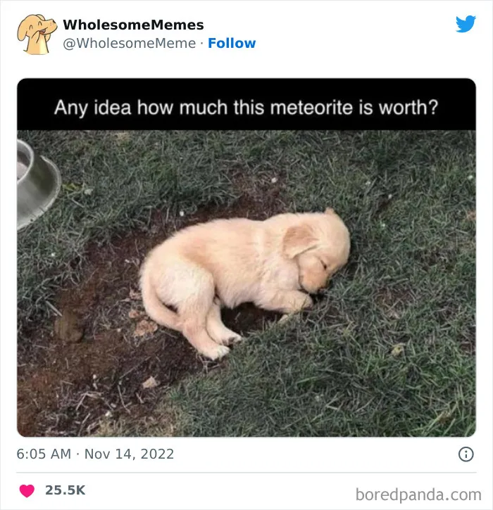 50 Wholesome Memes As Shared By This Page To Brighten Up Your Day (New Pics)