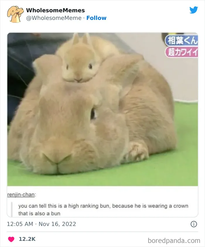 50 Wholesome Memes As Shared By This Page To Brighten Up Your Day (New Pics)