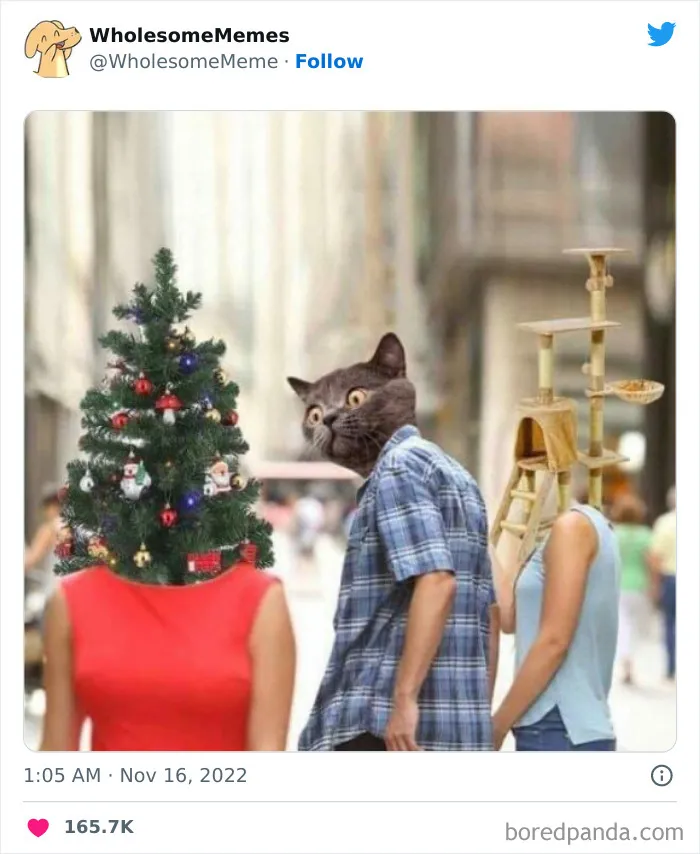 25 Memes reconfortantes para alegrarte el día (nuevas imágenes)