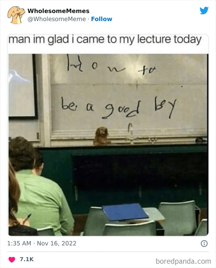 50 Wholesome Memes As Shared By This Page To Brighten Up Your Day (New Pics)