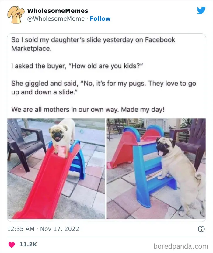 50 Wholesome Memes As Shared By This Page To Brighten Up Your Day (New Pics)