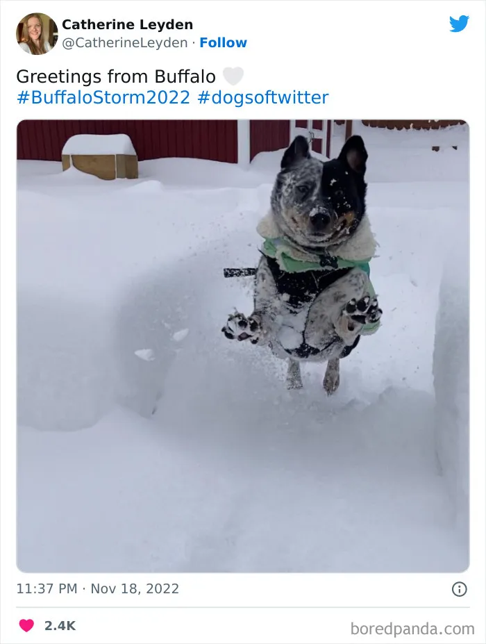 People Are Posting Wild Photos As Buffalo, New York, Digs Up From 6 Feet Of Snow